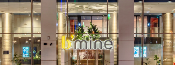 b_mine_Hotel